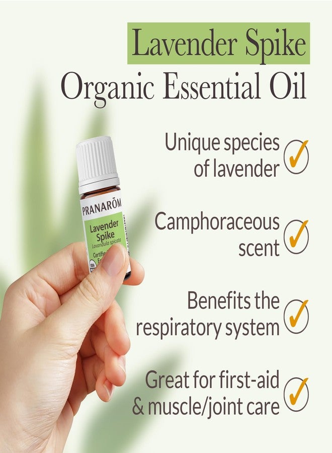Pranarom - Lavender, Spike Essential Oil 5ml - Ideal for Wellness Enthusiasts - Diffusing for Relaxation Therapy - Certified Organic Purity - 100% Pure, Certified Organic Lavandula Spicata - Image 3